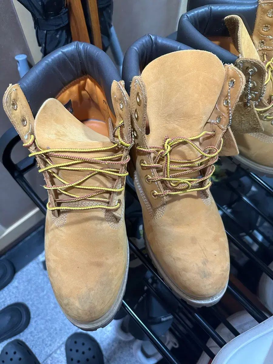 Timberland 6インチ 9W ワイド 270 11,777円