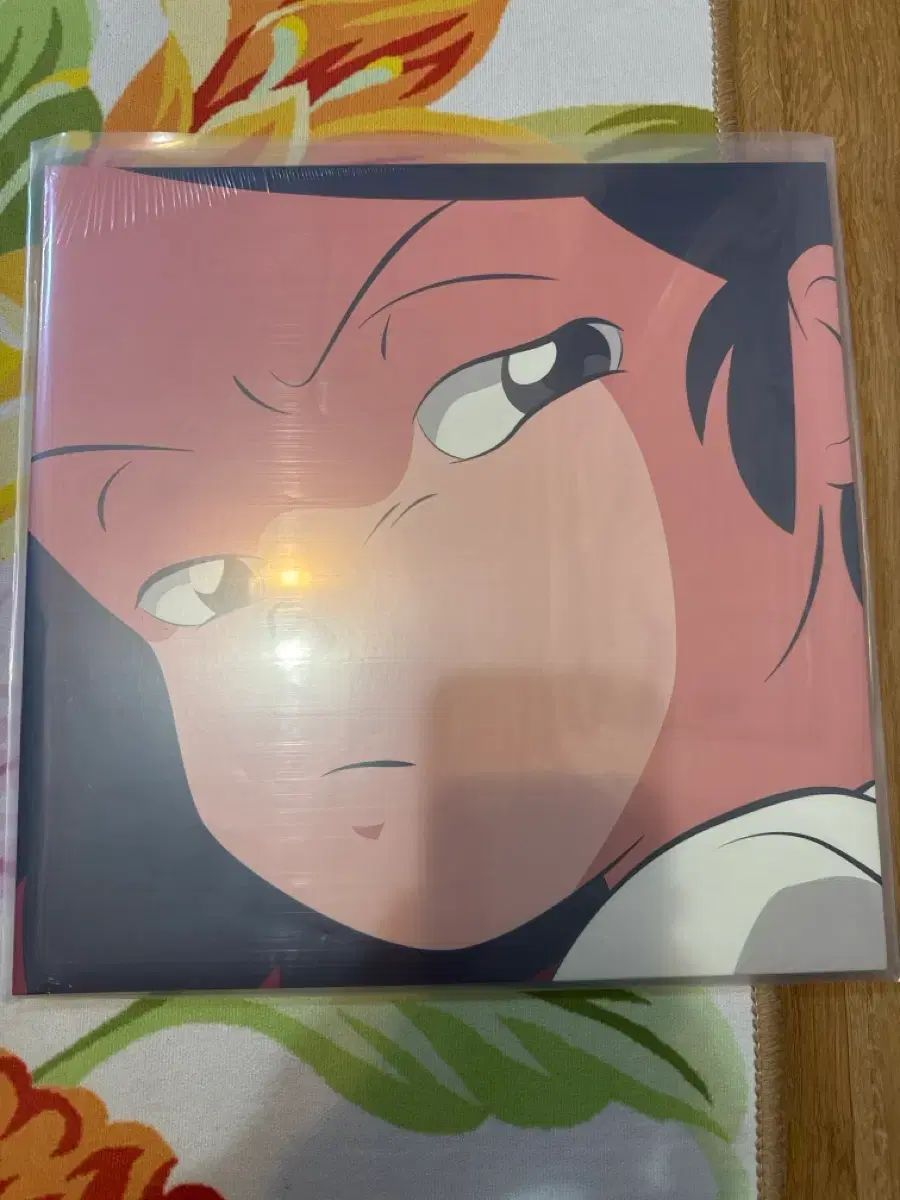 安土井 キャットニップ catnip LP 販売