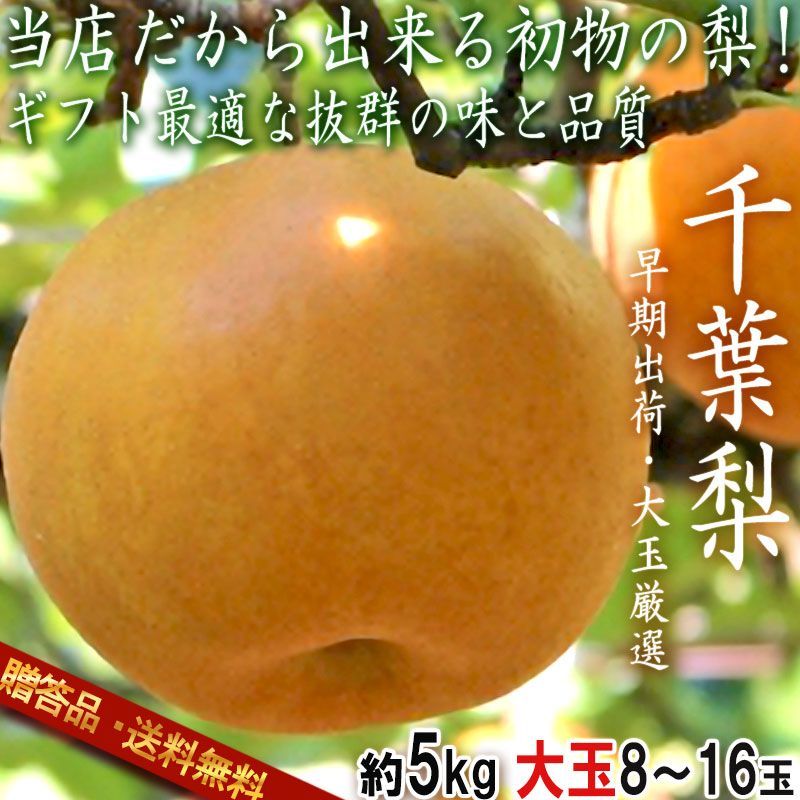 大玉】千葉県産 幸水8個入り 農家直送 山梨県産 幸水梨 大玉8個 4キロ