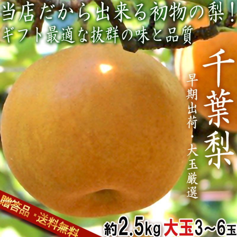 大玉厳選・早期出荷！】厳選千葉梨 幸水 約2.5kg 3～6玉 千葉