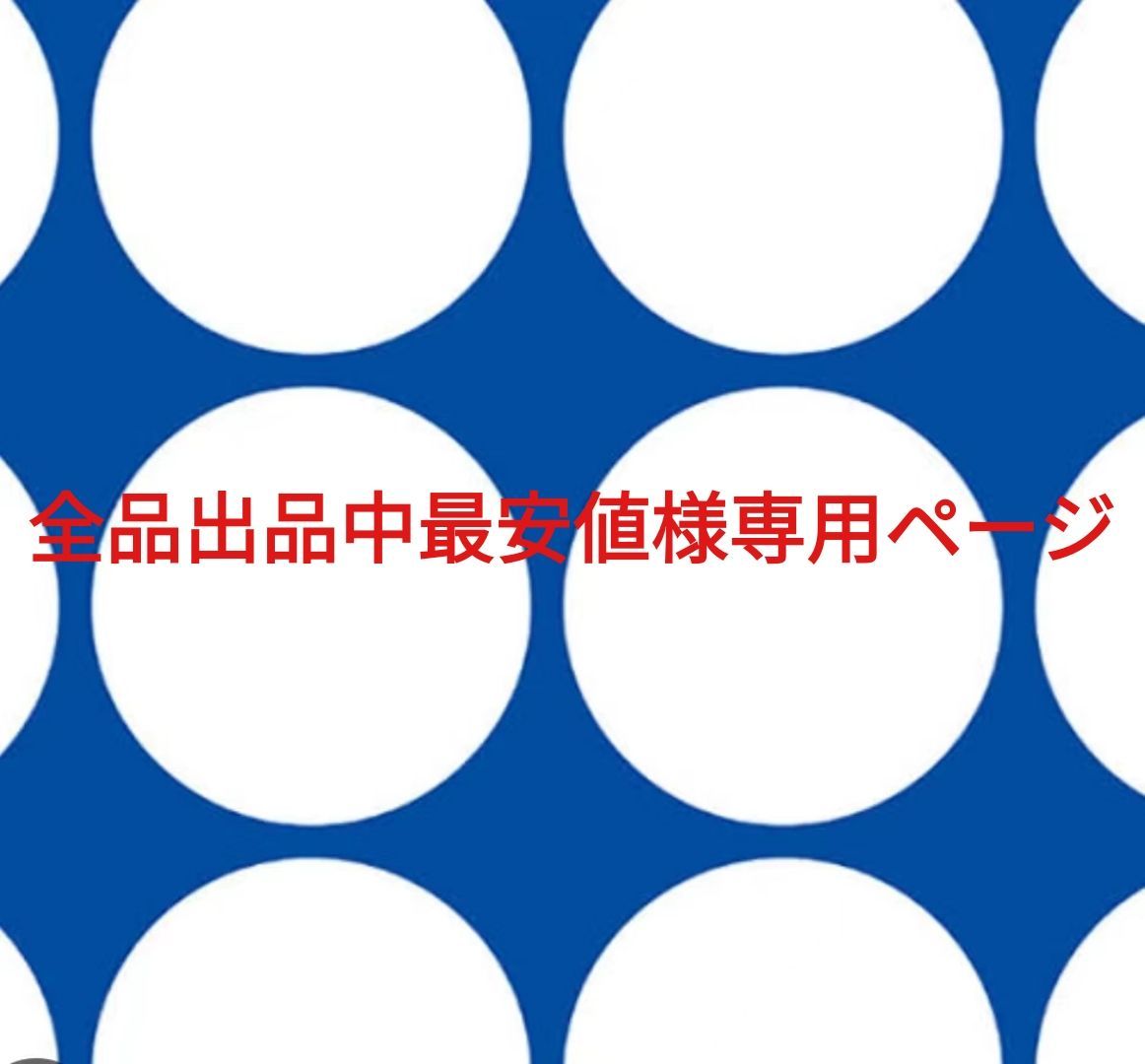 全品出品中最安値様専用ページです。