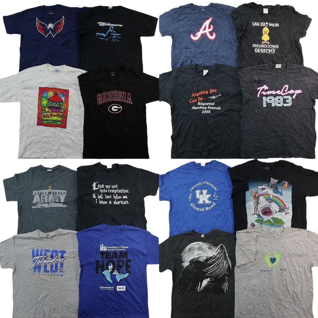 古着卸 まとめ売り プリント Tシャツ 16枚セット ( メンズ L ) アニマル アート ミリタリー プロチーム MLB アーチロゴ 中古 古着 NF8650