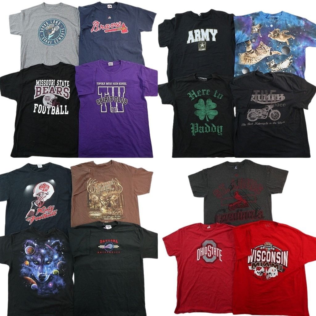 古着卸 まとめ売り プリント Tシャツ 15枚セット ( メンズ L ) タイダイ柄 ミリタリー プロチーム MLB アニマル クローバー 中古 NF8655 12,775円