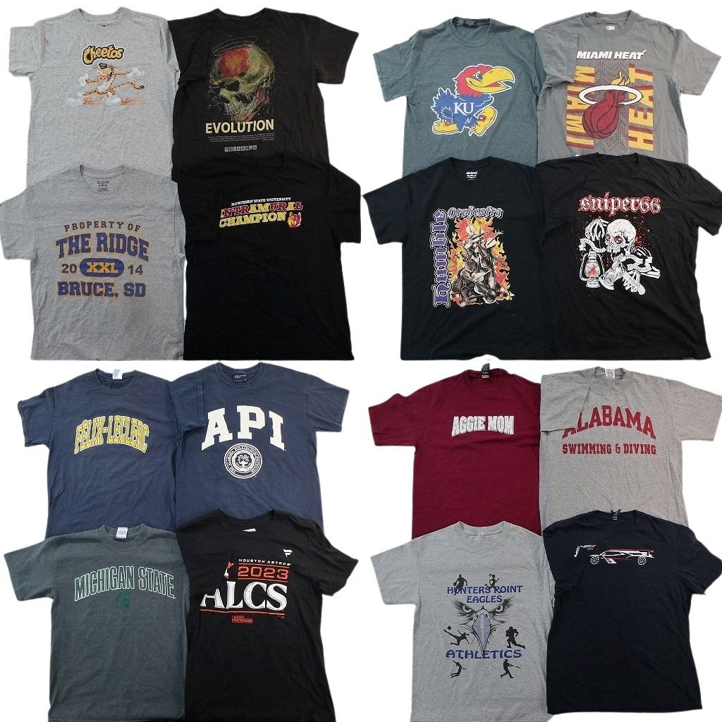 古着卸 まとめ売り プリント Tシャツ 16枚セット ( メンズ Ｍ ) アニマル スカル柄 スポーツ レーシング アーチロゴ 中古 古着 NF8657