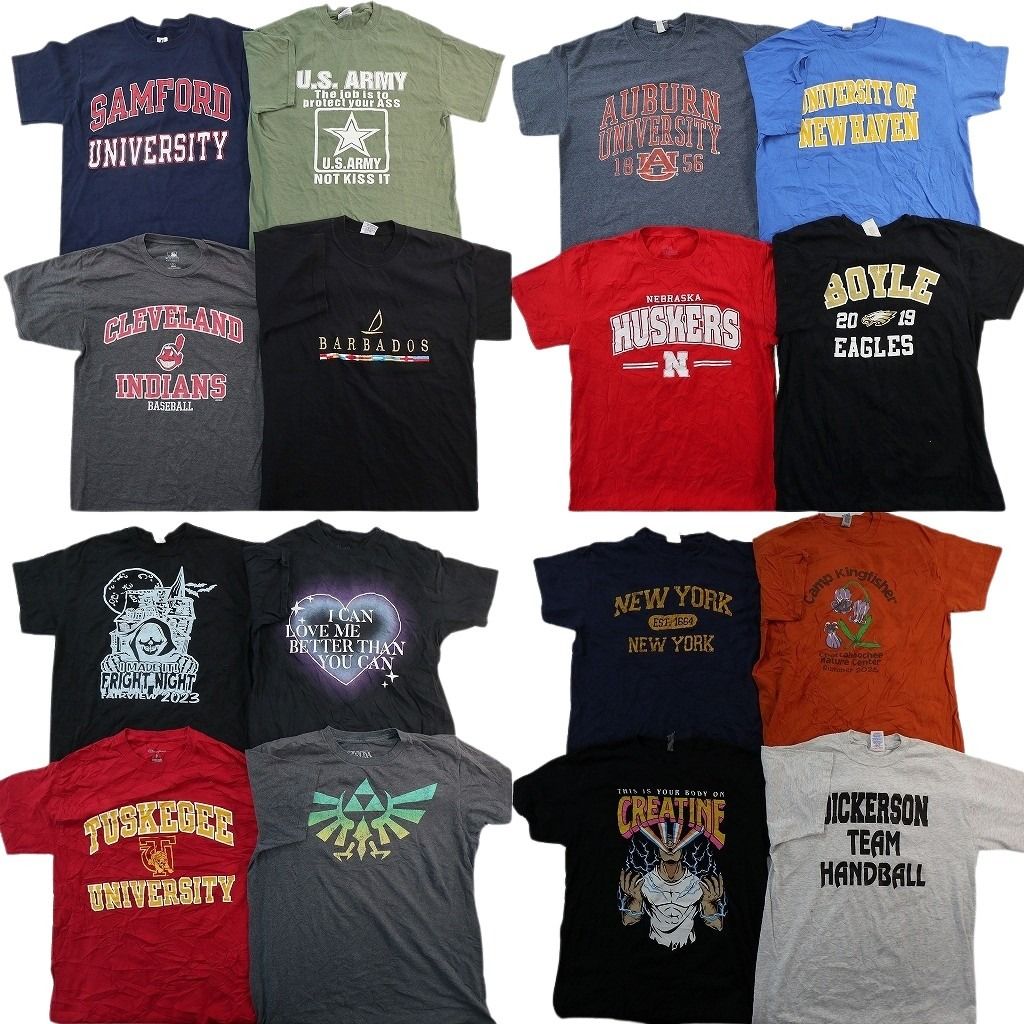古着卸 まとめ売り プリント Tシャツ 16枚セット ( メンズ Ｍ ) ミリタリー プロチーム MLB カレッジ風ロゴ アート 中古 古着 NF8658