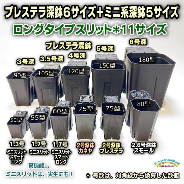 ミニラン鉢(ミニ蘭鉢)＊中間の3サイズ：3号×5鉢＊3.5号×5鉢＊4号×3鉢の