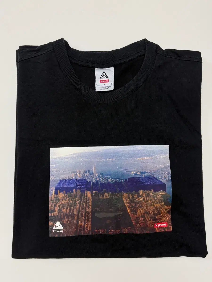 ナイキ ACG シュプリーム コラボ 半袖 Tシャツ 海外 large