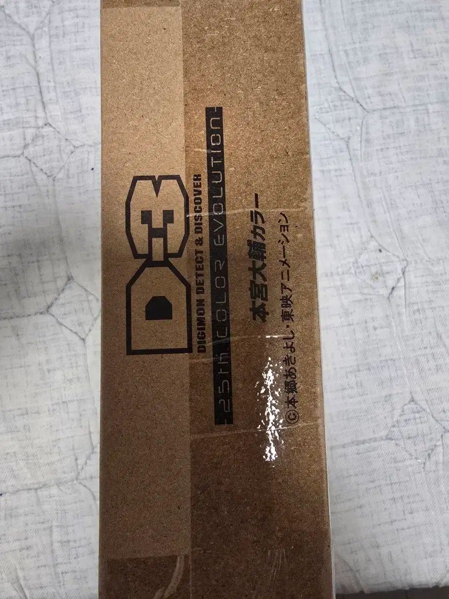 25周年 D3 COLOR DICE ENTWURF リー COLOR 未開封 28,186円