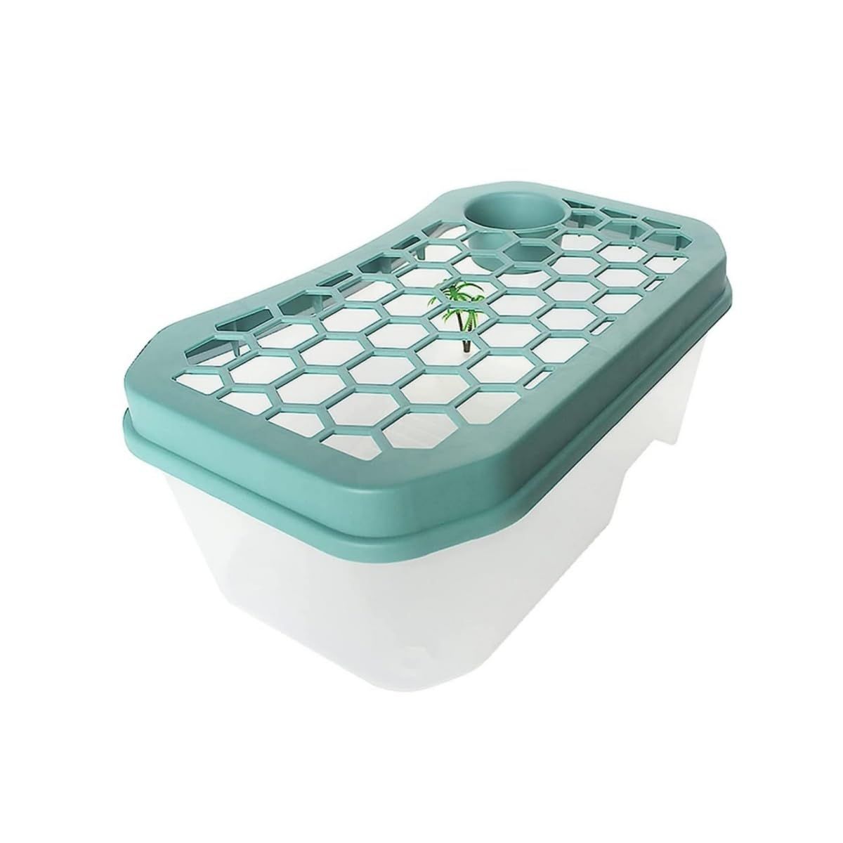 TOUCH&CUTE カメ用水槽 大きい 60*35*25CM カメ 水槽 亀の水槽 亀 飼育ケース 蓋つき ボックス タートルタンク 日向ぼっこ台 ミドリガメ クサガメ スッポン 観察 階段 (半透明M)i a72922b0