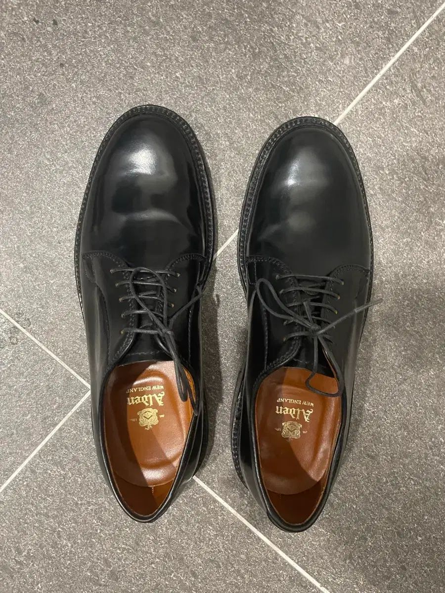 ALDEN(オールデン) 9901 6 5D
