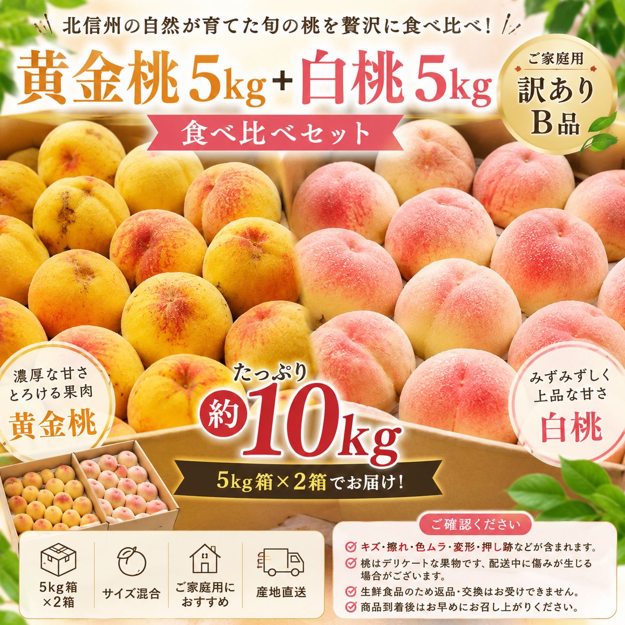 【クール便】【約10kg】黄金桃5kg＋白桃5kg 食べ比べセット 訳あり 家庭用 北信州産 7,220円