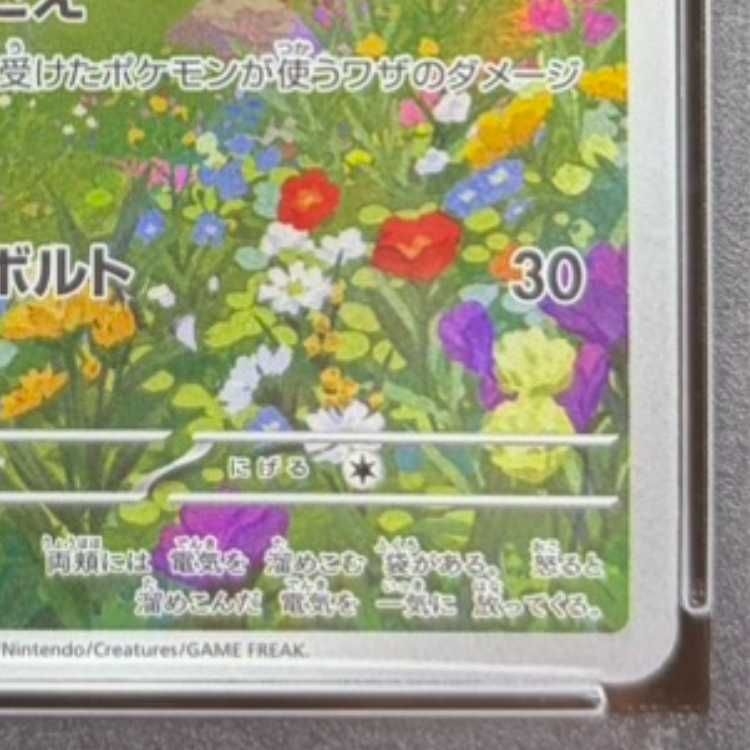 PSA10】ピカチュウ 《AR仕様》 PROMO 218/SV-P 1枚 - メルカリ