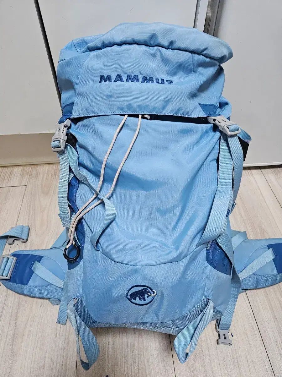 マムート トレア エレメント 25 マウンテニアリング リュック 35,000円で出品