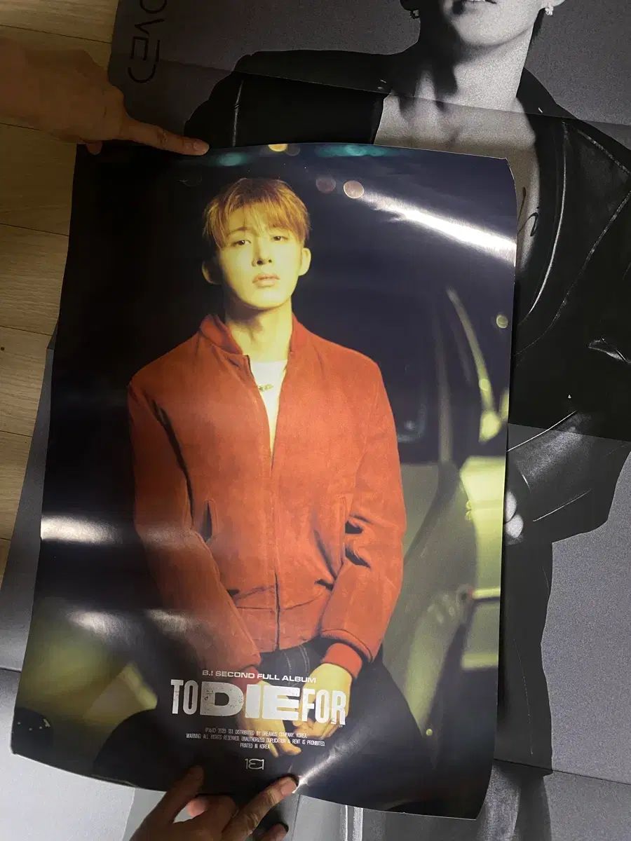 まとめ売り) 筒に入れてお届けします B.I ポスター