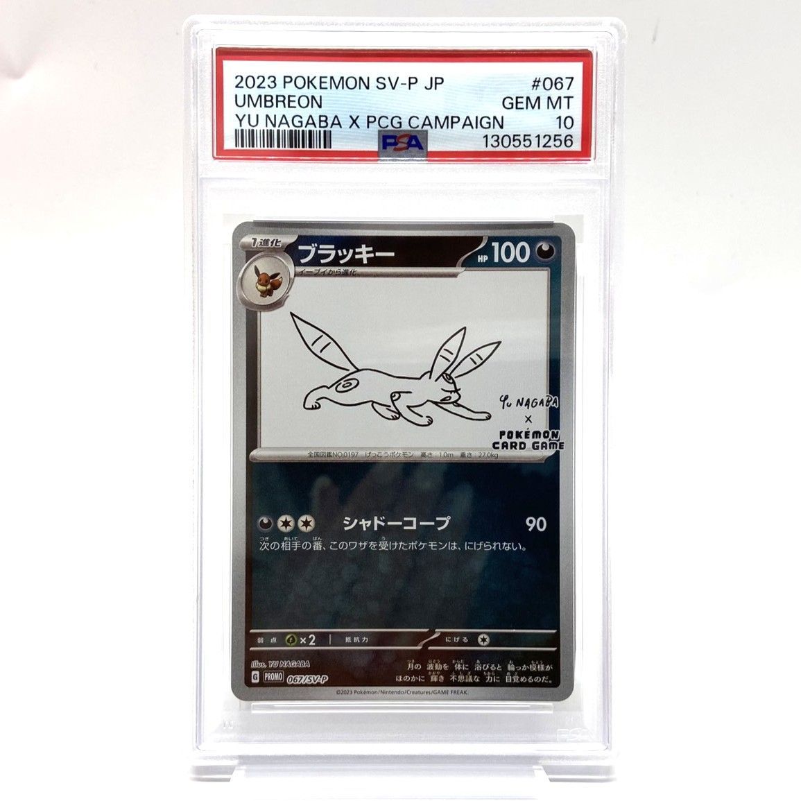 ★PSA10 ポケモンカード ブラッキー PROMO 067/S-P プロモ 長場 雄 YU NAGABA ポケカ 中古★008532