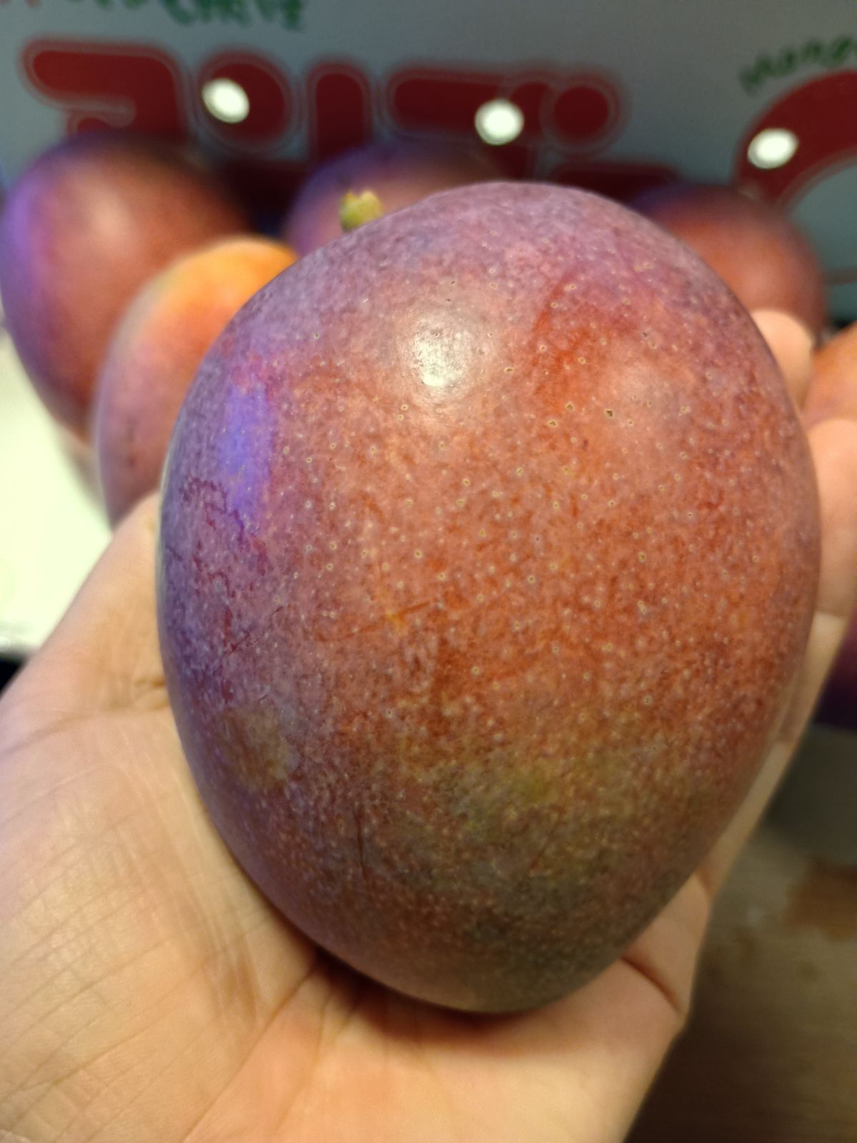 訳あり】沖縄産マンゴー 約1.9kg 7玉 農家直送 クール便 - メルカリ