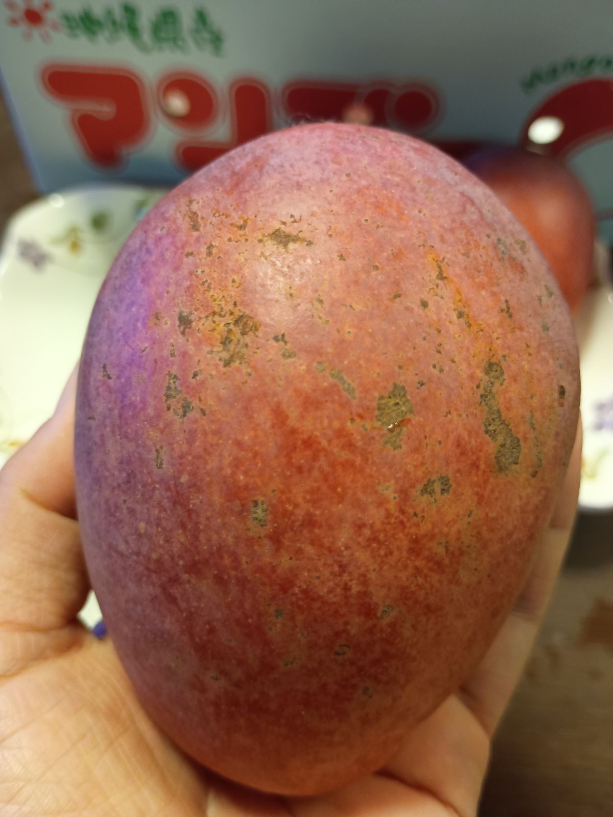訳あり】沖縄産マンゴー 約1.9kg 7玉 農家直送 クール便 - メルカリ