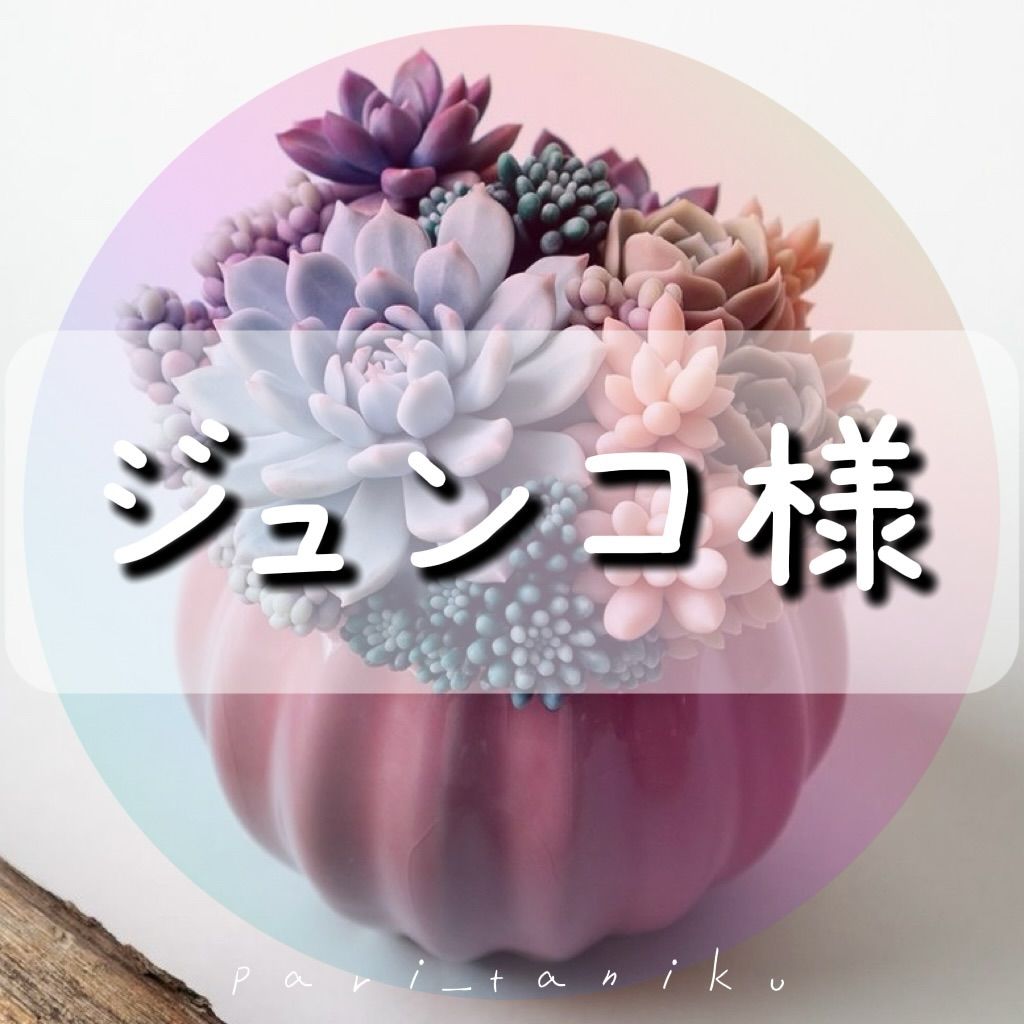 ジュンコ様　ご確認用ページ