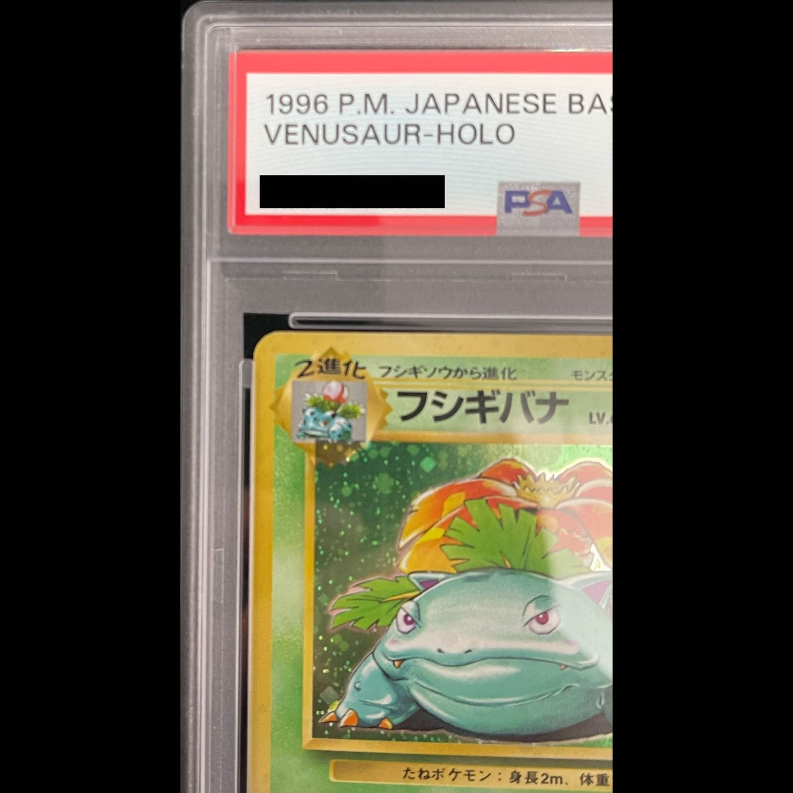 PSA10】 フシギバナ ＜マーク有＞ [旧裏第1弾/拡張パック] [旧裏] 1枚