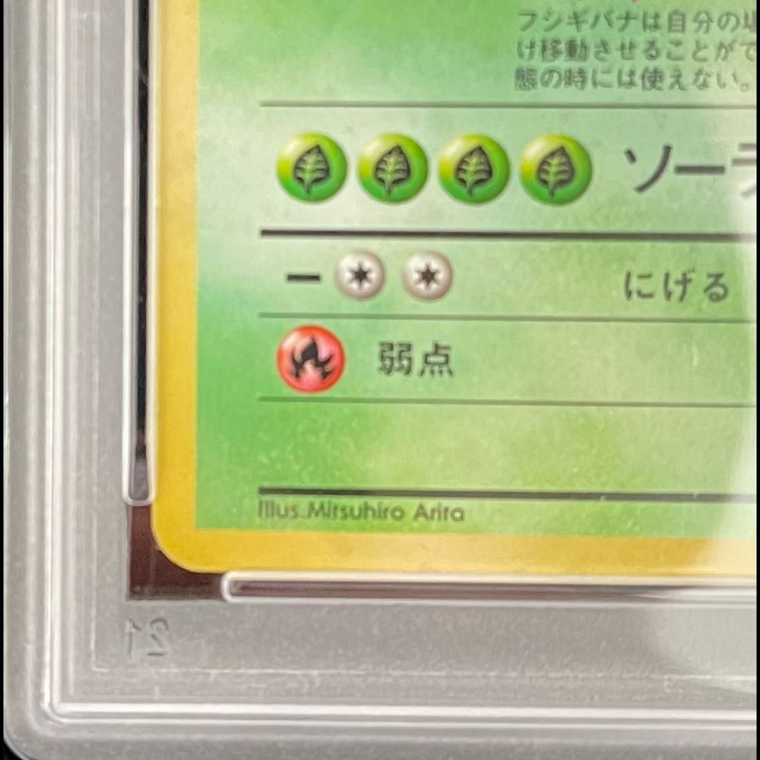 PSA10】 フシギバナ ＜マーク有＞ [旧裏第1弾/拡張パック] [旧裏] 1枚