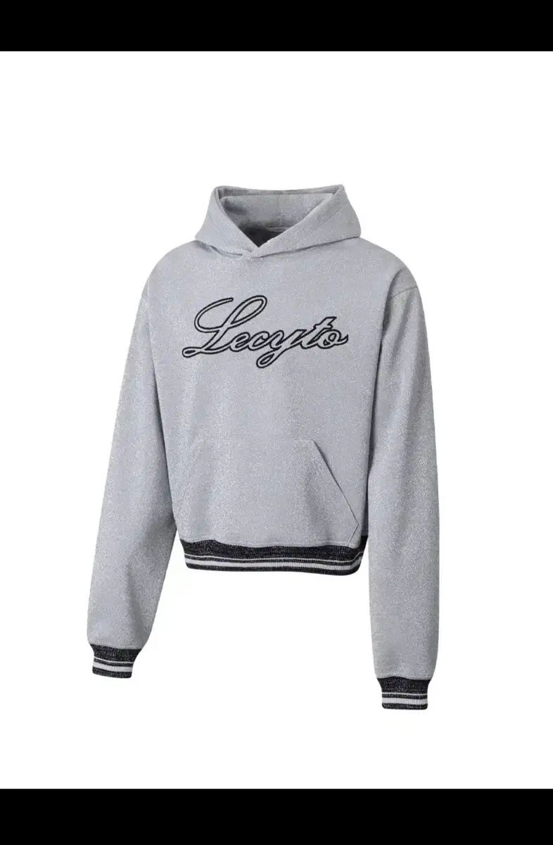 Lecyco WHOフーディー Tシャツ シルバー