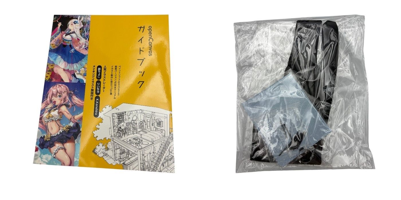 @SPBB1130様 オーダーページ XPPen エックスピーペン Artist 13 セカンド 液晶ペンタブレット