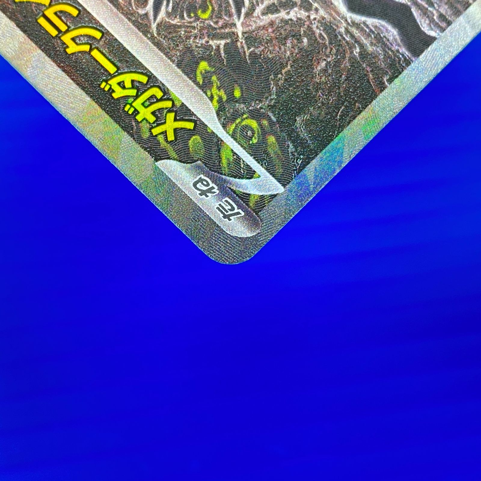 盛岡店56-0729] ポケモンカード メガダークライex SAR 114/081