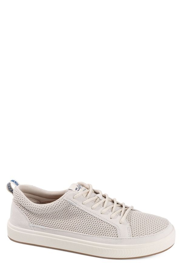 ソルトライフ メンズ シューズ スニーカー Salt Life The Coast Sneaker Taupe Taupe トープ