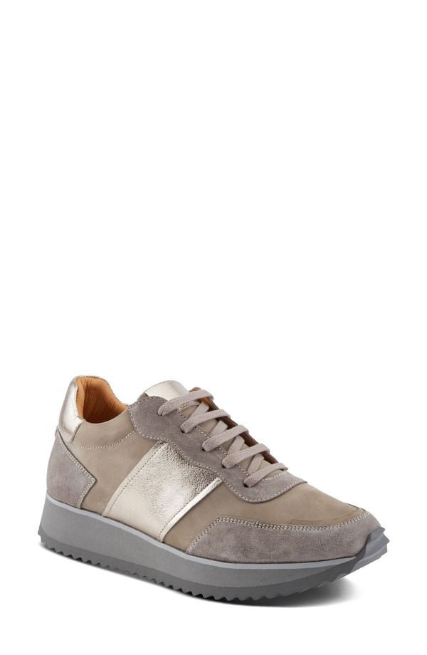 スプリングステップ レディース シューズ スニーカー Spring Step Compter Sneaker Grey Suede グレー