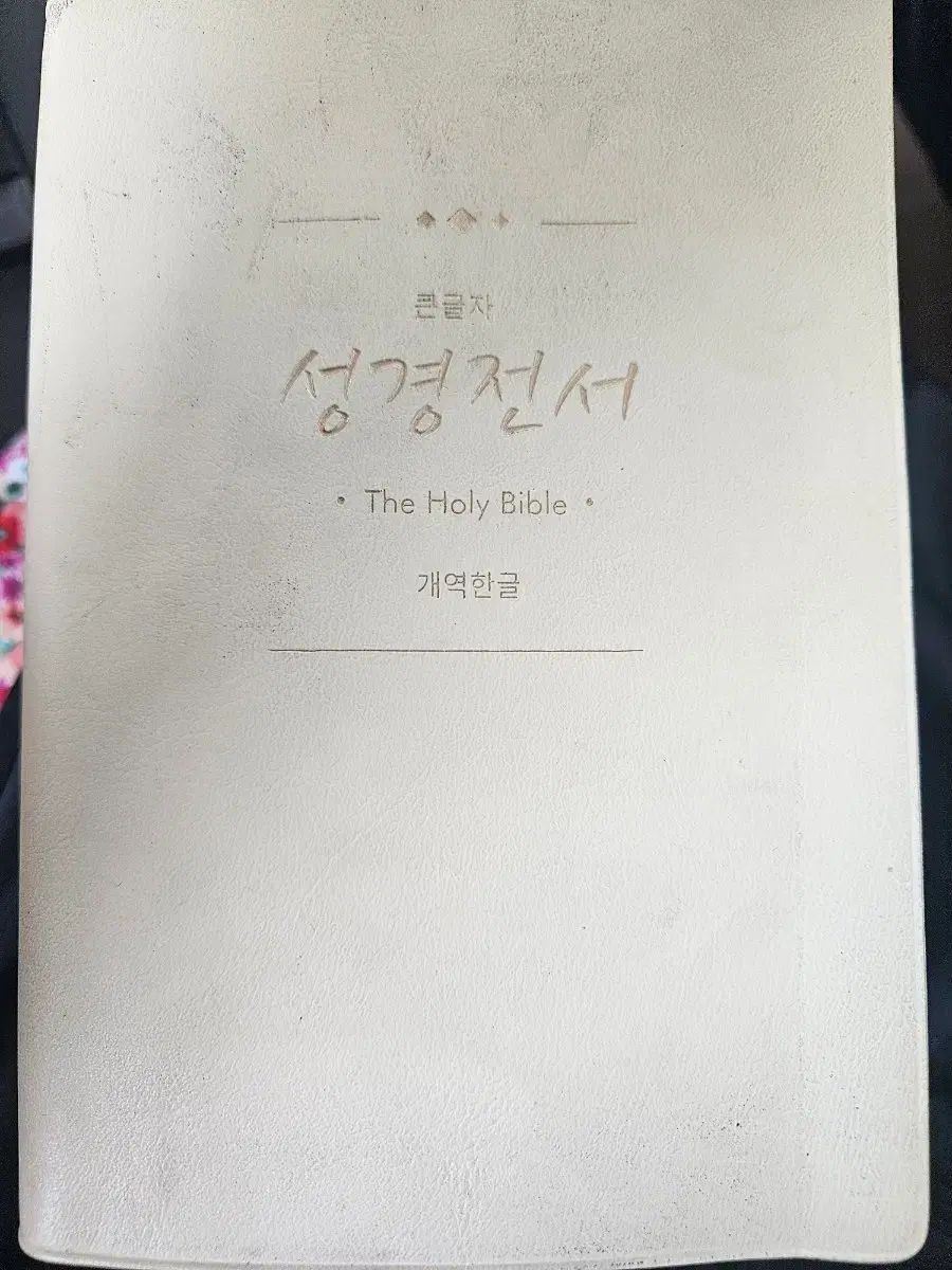 大きな文字 聖書