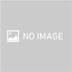 【新品/在庫あり】ダイソン Dyson V12 Detect Slim Fluffy SV46 FF EX コードレススティッククリーナー SV46FFEX