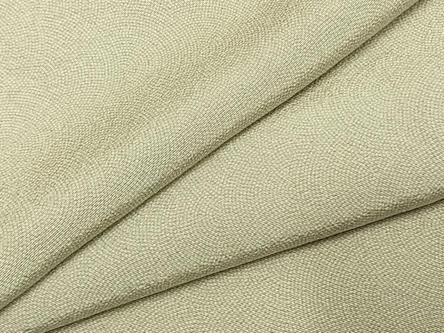 平和屋着物●江戸小紋　鮫小紋柄　ロング丈　正絹　逸品　AABK1320fy