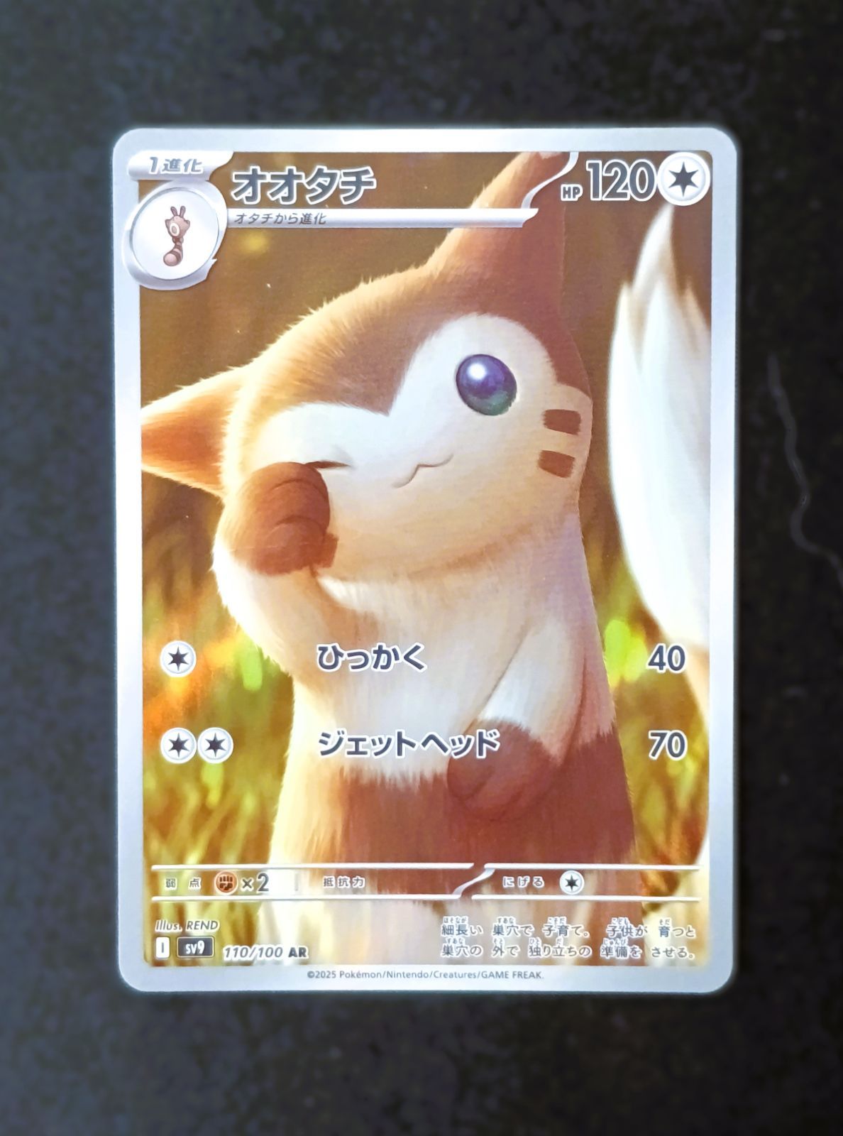 状態B】オオタチ AR [ SV9 : 110 / 100 ] ポケモンカードゲーム バトル
