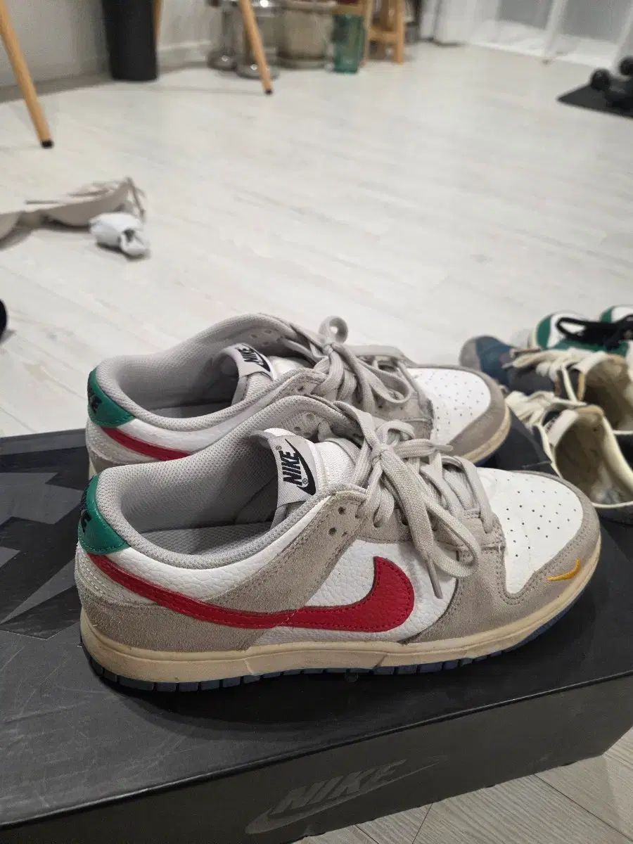 ナイキ ダンクロー アイアン 270 10,126円