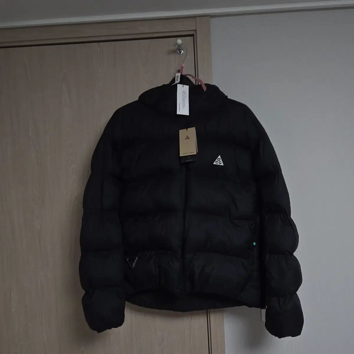 ナイキ ACG ルナレイク ダウン XXL