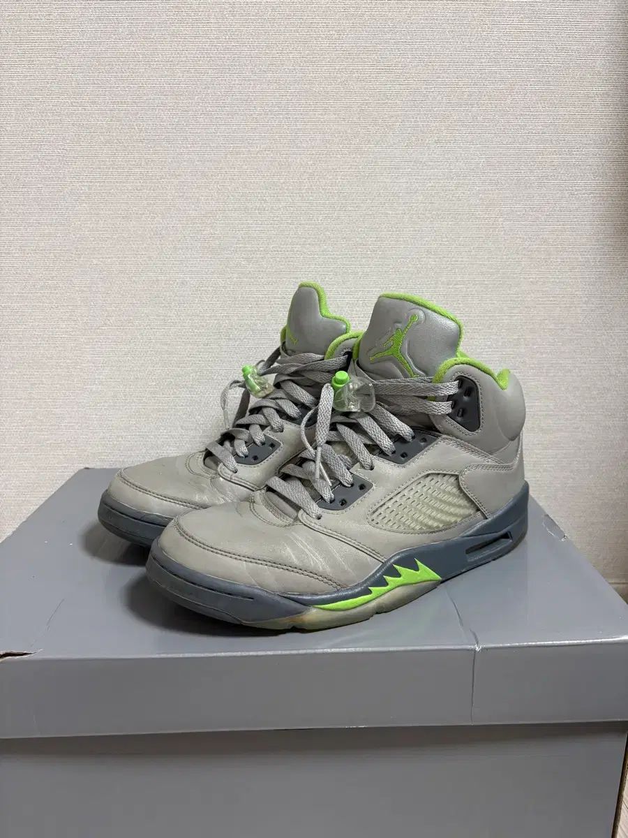 エア ジョーダン 5 グリーンビーン 260