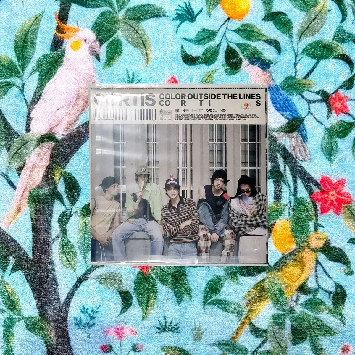 コルティス ※ THE 1ST EP LP 10,144円