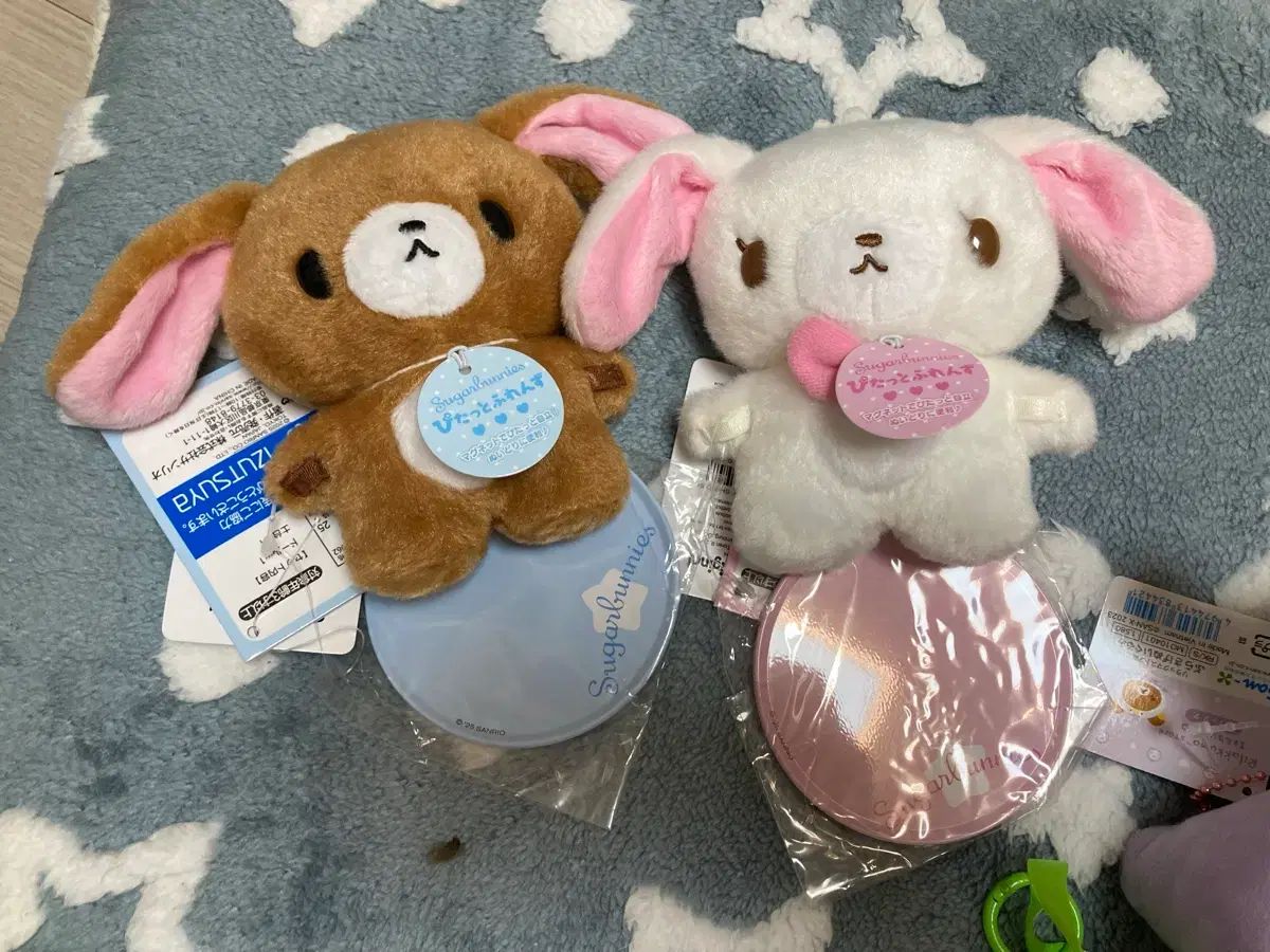 シュガバニーズ ぴたっと