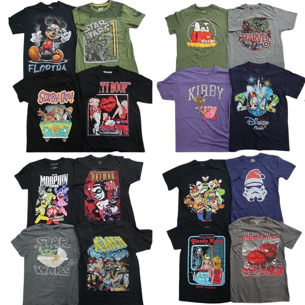 古着卸 まとめ売り キャラクター Tシャツ 16枚セット ( メンズ S ) ディズニー マリオ スターウォーズ マーベル スヌーピー 中古 NF8830 13,950円