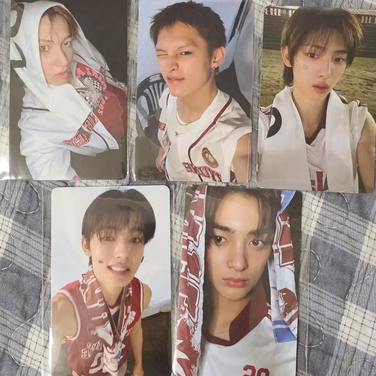 コルティス Weverse Shop ラッキードロー ラキドロ トレカ 【公式通販】