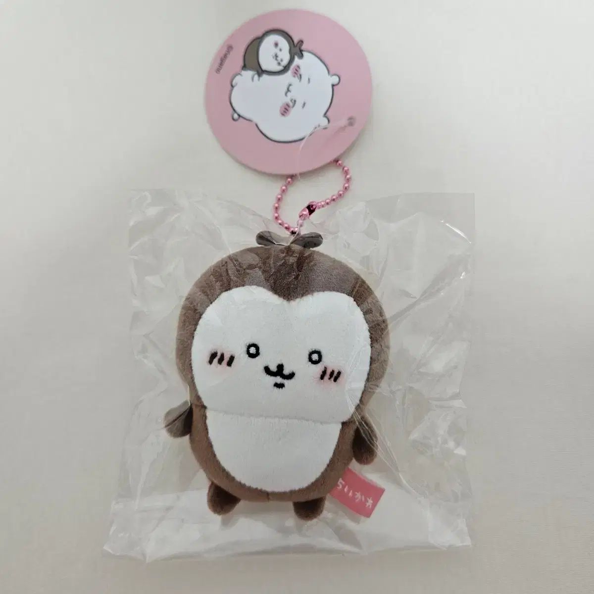 Mascota del escarabajo Chikawa (sin abrir)