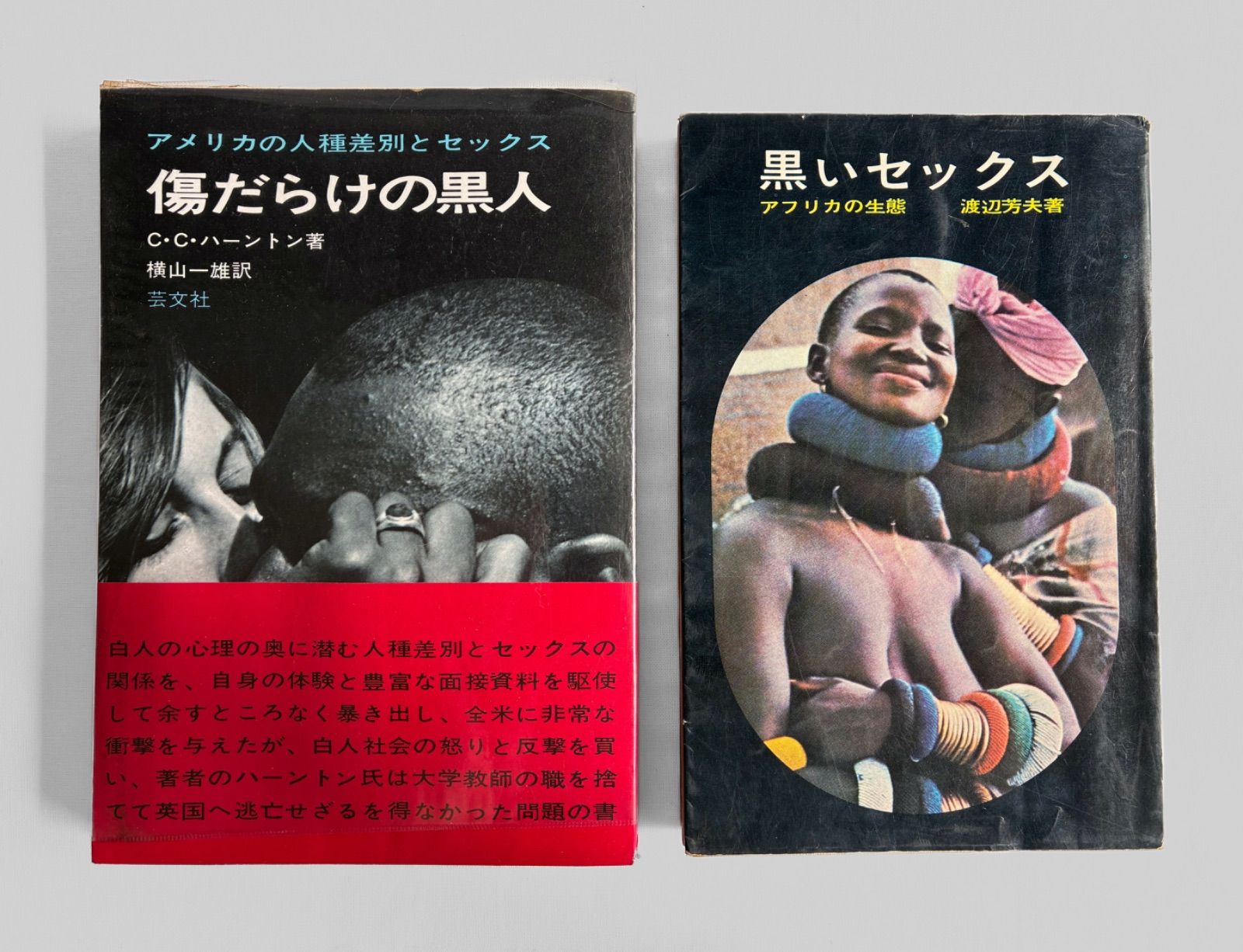 [Historical Materials/Set of 2] Black Discrimination and Racial Issues American and African Related Books Showa Retro Outdated Old Books Black People Full of Scratches