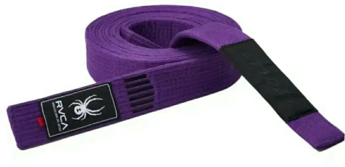 スパイダーベルト PURPLE A2