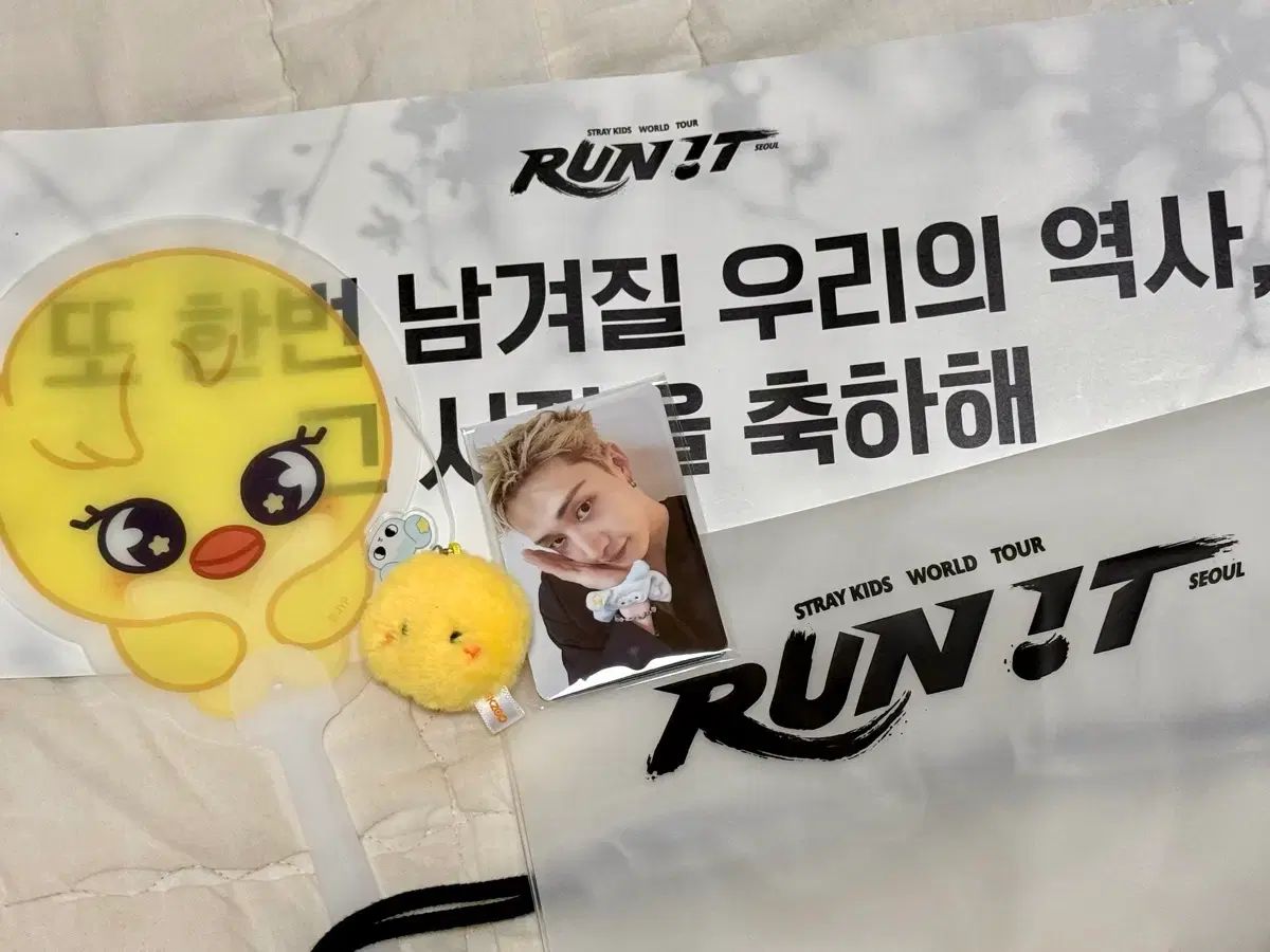Stray Kids(ストレイキッズ・スキズ・SKZ) コンサート run it 런잇 初 初 入場 キット フルセット FELIX ぬいぐるみ