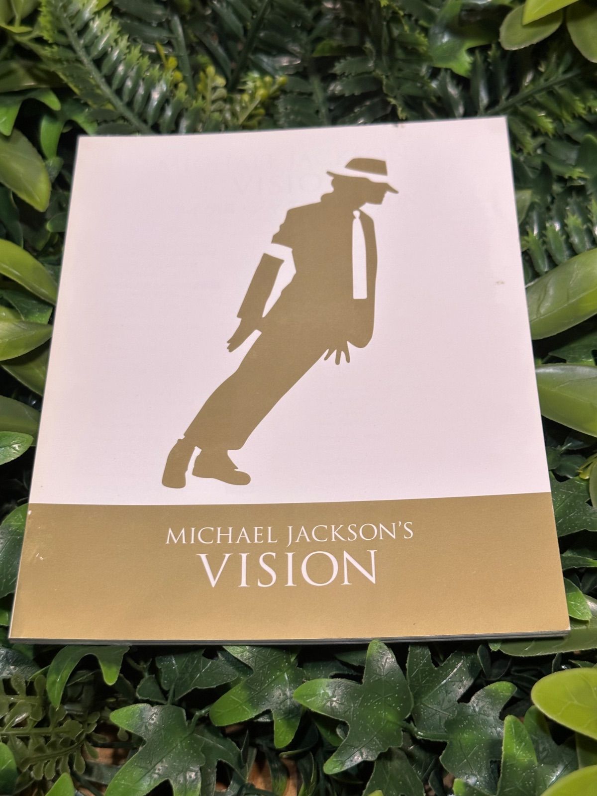 マイケル・ジャクソン VISION 完全生産限定盤 DVD3枚組 日本盤
