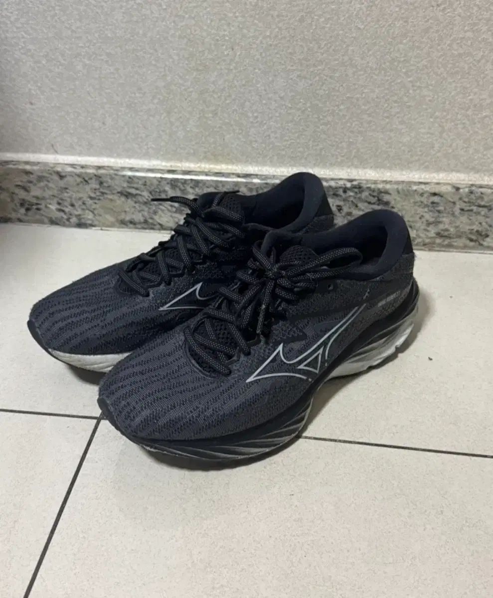 250 ミズノ ランニングシューズ