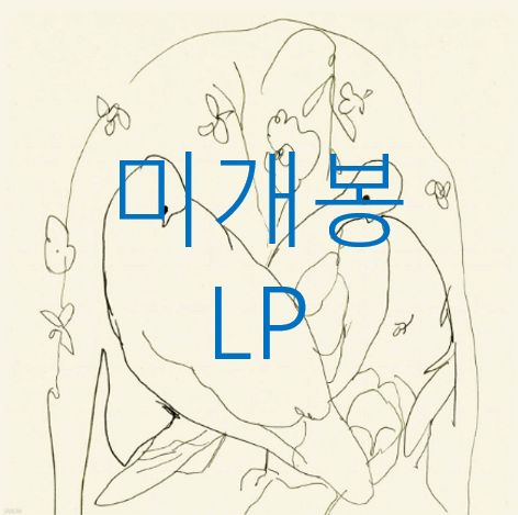 未開封 ペーパーリバー ( Paper River ) ー why LP