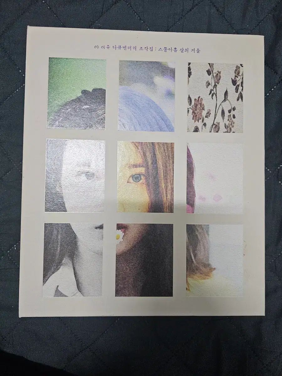 開封 IU ドキュメンタリー 'Pieces : スビン・冬'