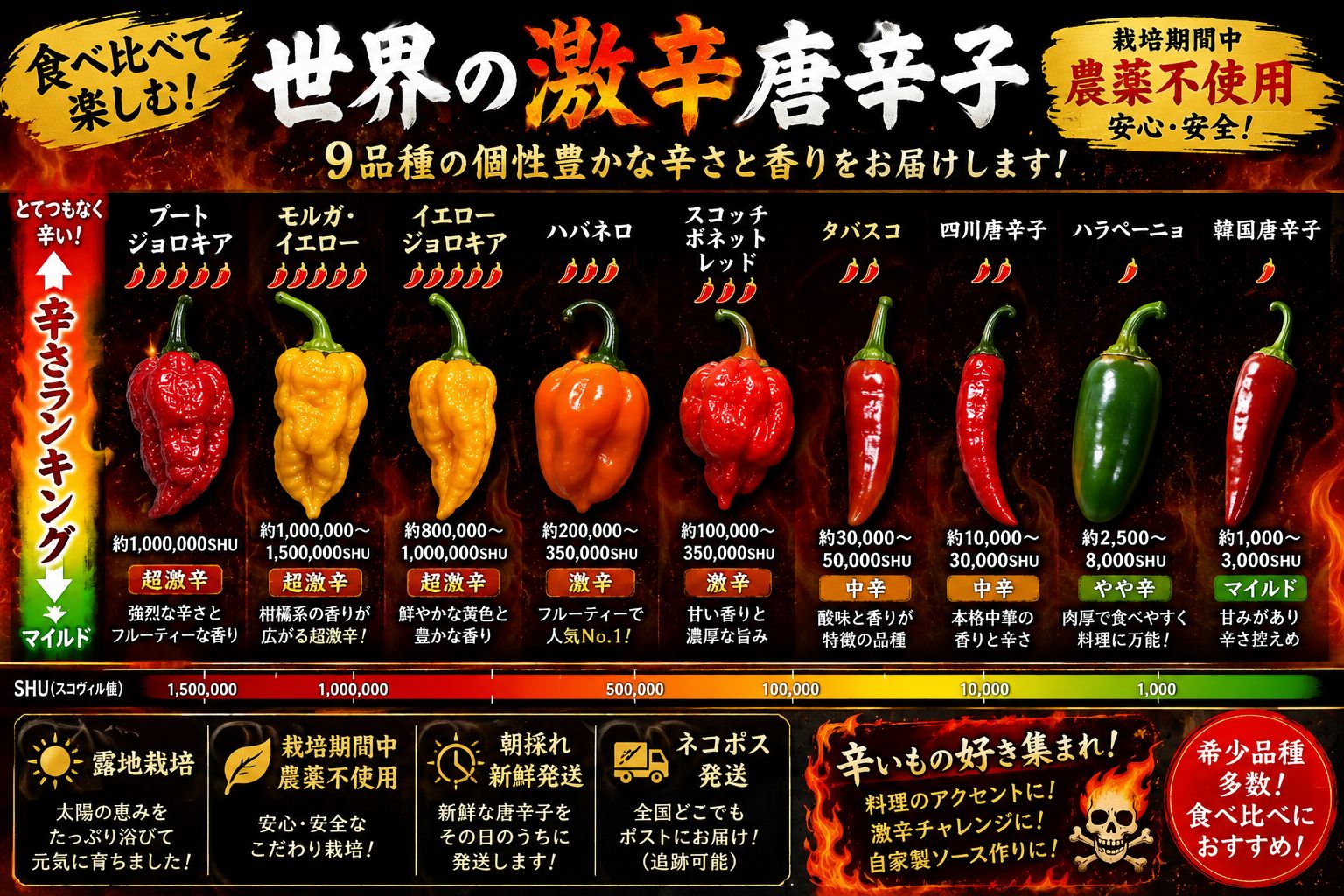 種・種子 【超激辛ミックス】世界最強クラス唐辛子種子セット