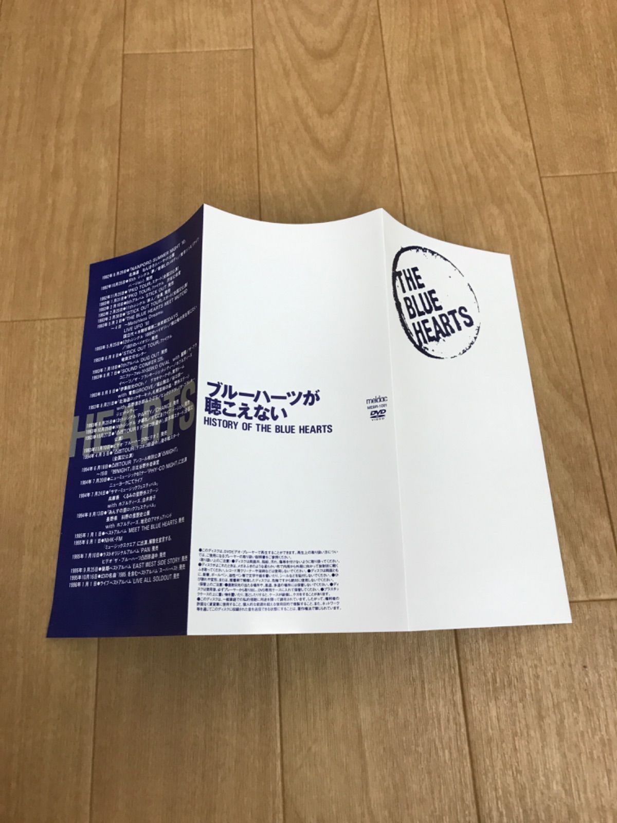 ☆ブルーハーツが聴こえない THE BLUE HEARTS DVD ブルーハーツ DVD